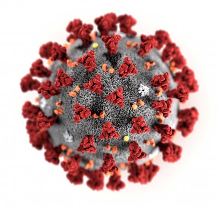 Влияние на отрасль ограничений по коронавирусу. Анкетирование застройщиков